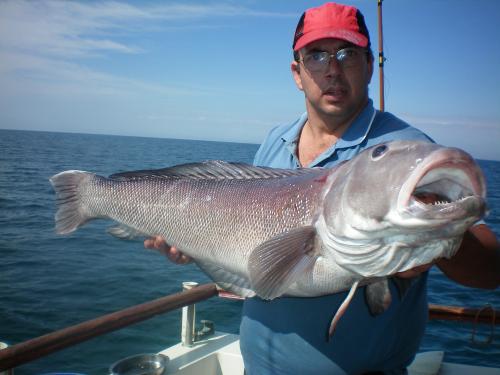 GIGANTES DEL MAR